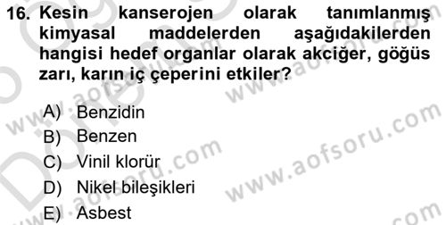 Çevre Sağlığı ve Güvenliği Dersi 2024 - 2025 Yılı (Final) Dönem Sonu Sınav Soruları 16. Soru