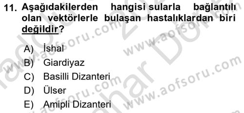 Çevre Sağlığı ve Güvenliği Dersi 2025 - 2026 Yılı (Final) Dönem Sonu Sınav Soruları 11. Soru