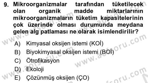 Çevre Sağlığı ve Güvenliği Dersi 2025 - 2026 Yılı (Final) Dönem Sonu Sınav Soruları 9. Soru