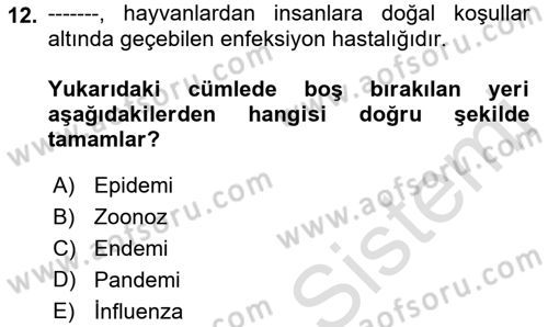 Afet, Acil Durum ve Endüstriyel Kazalarda İş Sağlığı ve Güvenliği Dersi 2022 - 2023 Yılı Yaz Okulu Sınav Soruları 12. Soru