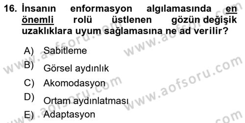 İş Hijyeni ve Ergonomi Dersi 2020 - 2021 Yılı Yaz Okulu Sınav Soruları 16. Soru