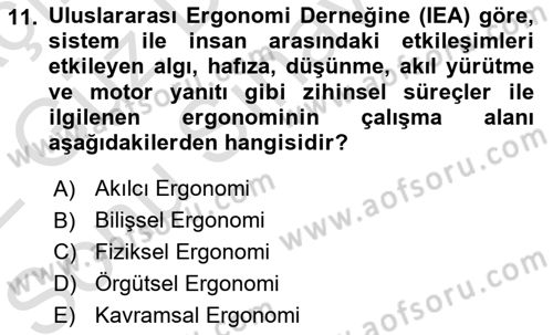 İş Hijyeni ve Ergonomi Dersi 2021 - 2022 Yılı (Final) Dönem Sonu Sınav Soruları 11. Soru