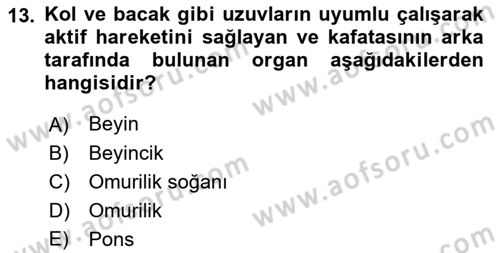 İş Hijyeni ve Ergonomi Dersi 2021 - 2022 Yılı (Final) Dönem Sonu Sınav Soruları 13. Soru