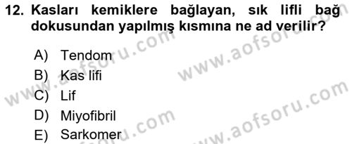İş Hijyeni ve Ergonomi Dersi 2021 - 2022 Yılı Yaz Okulu Sınav Soruları 12. Soru