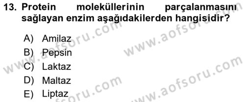 İş Hijyeni ve Ergonomi Dersi 2021 - 2022 Yılı Yaz Okulu Sınav Soruları 13. Soru