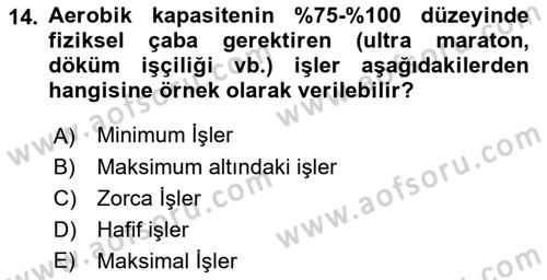 İş Hijyeni ve Ergonomi Dersi 2021 - 2022 Yılı Yaz Okulu Sınav Soruları 14. Soru