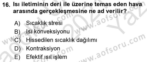 İş Hijyeni ve Ergonomi Dersi 2021 - 2022 Yılı Yaz Okulu Sınav Soruları 16. Soru