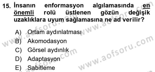 İş Hijyeni ve Ergonomi Dersi 2022 - 2023 Yılı (Final) Dönem Sonu Sınav Soruları 15. Soru