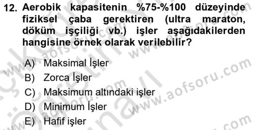 İş Hijyeni ve Ergonomi Dersi 2022 - 2023 Yılı Yaz Okulu Sınav Soruları 12. Soru