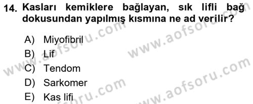 İş Hijyeni ve Ergonomi Dersi 2022 - 2023 Yılı Yaz Okulu Sınav Soruları 14. Soru