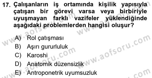 İş Hijyeni ve Ergonomi Dersi 2022 - 2023 Yılı Yaz Okulu Sınav Soruları 17. Soru