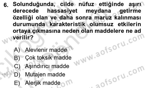 İş Hijyeni ve Ergonomi Dersi 2023 - 2024 Yılı (Vize) Ara Sınav Soruları 6. Soru