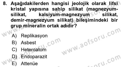 İş Hijyeni ve Ergonomi Dersi 2023 - 2024 Yılı (Vize) Ara Sınav Soruları 8. Soru