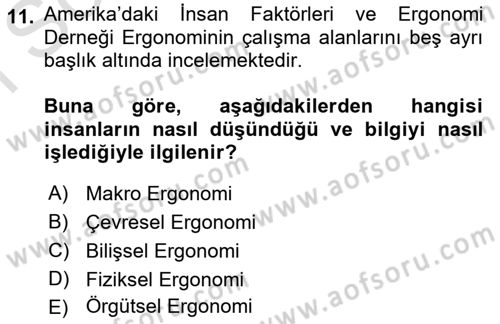 İş Hijyeni ve Ergonomi Dersi 2023 - 2024 Yılı (Final) Dönem Sonu Sınav Soruları 11. Soru