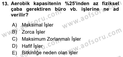 İş Hijyeni ve Ergonomi Dersi 2023 - 2024 Yılı (Final) Dönem Sonu Sınav Soruları 13. Soru