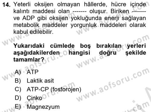 İş Hijyeni ve Ergonomi Dersi 2023 - 2024 Yılı (Final) Dönem Sonu Sınav Soruları 14. Soru