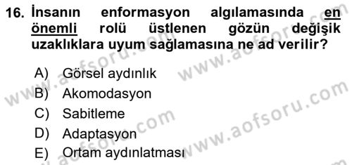 İş Hijyeni ve Ergonomi Dersi 2023 - 2024 Yılı (Final) Dönem Sonu Sınav Soruları 16. Soru