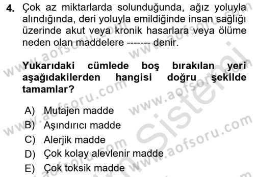 İş Hijyeni ve Ergonomi Dersi 2023 - 2024 Yılı (Final) Dönem Sonu Sınav Soruları 4. Soru