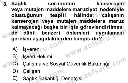 İş Hijyeni ve Ergonomi Dersi 2023 - 2024 Yılı (Final) Dönem Sonu Sınav Soruları 8. Soru