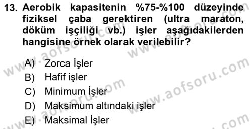 İş Hijyeni ve Ergonomi Dersi 2023 - 2024 Yılı Yaz Okulu Sınav Soruları 13. Soru