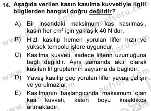 İş Hijyeni ve Ergonomi Dersi 2023 - 2024 Yılı Yaz Okulu Sınav Soruları 14. Soru