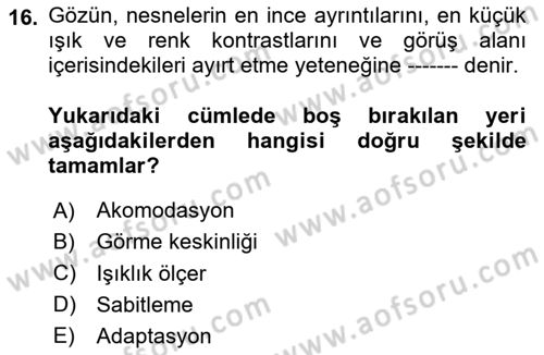 İş Hijyeni ve Ergonomi Dersi 2023 - 2024 Yılı Yaz Okulu Sınav Soruları 16. Soru