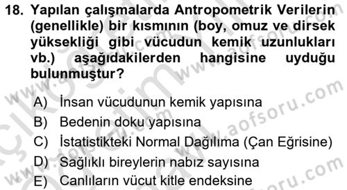 İş Hijyeni ve Ergonomi Dersi 2023 - 2024 Yılı Yaz Okulu Sınav Soruları 18. Soru