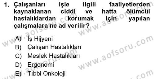 İş Hijyeni ve Ergonomi Dersi 2024 - 2025 Yılı (Vize) Ara Sınav Soruları 1. Soru