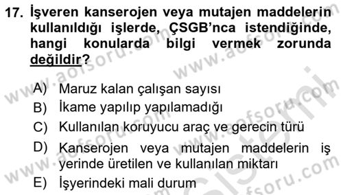 İş Hijyeni ve Ergonomi Dersi 2024 - 2025 Yılı (Vize) Ara Sınav Soruları 17. Soru