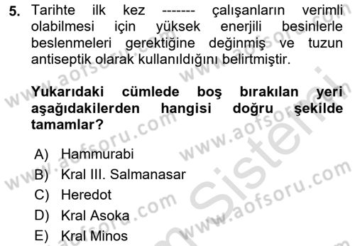 İş Hijyeni ve Ergonomi Dersi 2024 - 2025 Yılı (Vize) Ara Sınav Soruları 5. Soru