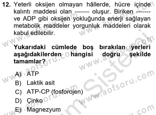 İş Hijyeni ve Ergonomi Dersi 2024 - 2025 Yılı Yaz Okulu Sınav Soruları 12. Soru