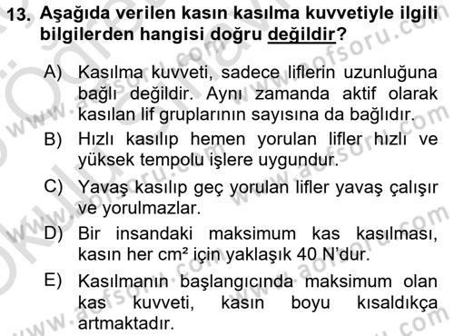 İş Hijyeni ve Ergonomi Dersi 2024 - 2025 Yılı Yaz Okulu Sınav Soruları 13. Soru