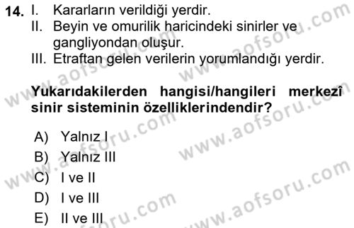 İş Hijyeni ve Ergonomi Dersi 2024 - 2025 Yılı Yaz Okulu Sınav Soruları 14. Soru