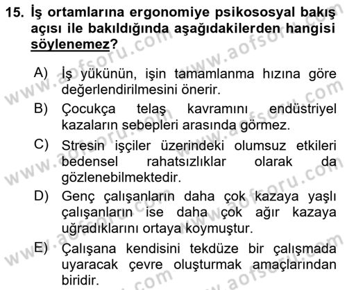 İş Hijyeni ve Ergonomi Dersi 2024 - 2025 Yılı Yaz Okulu Sınav Soruları 15. Soru