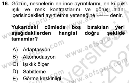 İş Hijyeni ve Ergonomi Dersi 2024 - 2025 Yılı Yaz Okulu Sınav Soruları 16. Soru