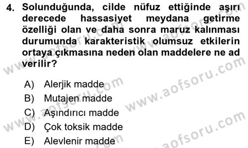 İş Hijyeni ve Ergonomi Dersi 2024 - 2025 Yılı Yaz Okulu Sınav Soruları 4. Soru