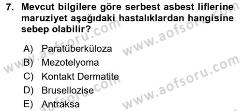 İş Hijyeni ve Ergonomi Dersi 2024 - 2025 Yılı Yaz Okulu Sınav Soruları 7. Soru