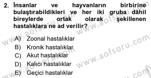 Sektörel İş Sağlığı ve Güvenliği Dersi 2021 - 2022 Yılı (Vize) Ara Sınav Soruları 2. Soru