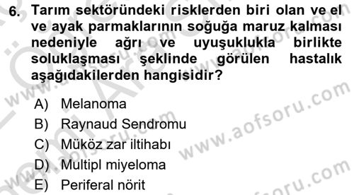 Sektörel İş Sağlığı ve Güvenliği Dersi 2021 - 2022 Yılı (Vize) Ara Sınav Soruları 6. Soru