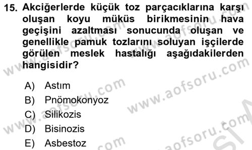 Sektörel İş Sağlığı ve Güvenliği Dersi 2022 - 2023 Yılı Yaz Okulu Sınav Soruları 15. Soru