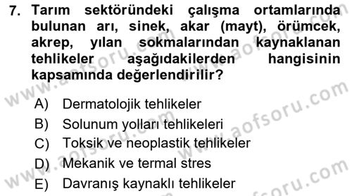 Sektörel İş Sağlığı ve Güvenliği Dersi 2022 - 2023 Yılı Yaz Okulu Sınav Soruları 7. Soru
