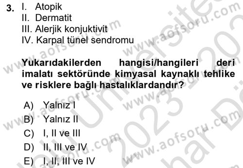 Sektörel İş Sağlığı ve Güvenliği Dersi 2023 - 2024 Yılı (Vize) Ara Sınav Soruları 3. Soru