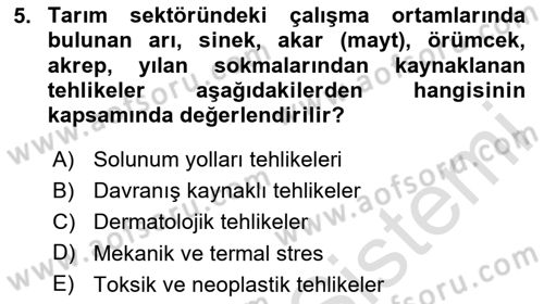 Sektörel İş Sağlığı ve Güvenliği Dersi 2023 - 2024 Yılı (Vize) Ara Sınav Soruları 5. Soru