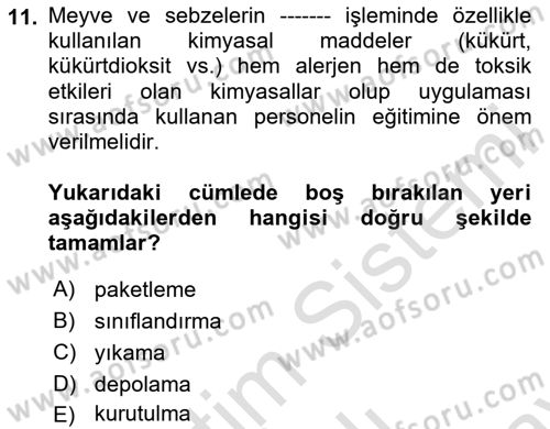 Sektörel İş Sağlığı ve Güvenliği Dersi 2023 - 2024 Yılı (Final) Dönem Sonu Sınav Soruları 11. Soru