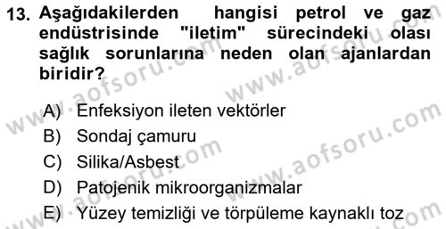 Sektörel İş Sağlığı ve Güvenliği Dersi 2023 - 2024 Yılı (Final) Dönem Sonu Sınav Soruları 13. Soru