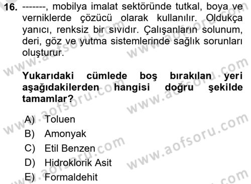 Sektörel İş Sağlığı ve Güvenliği Dersi 2023 - 2024 Yılı Yaz Okulu Sınav Soruları 16. Soru