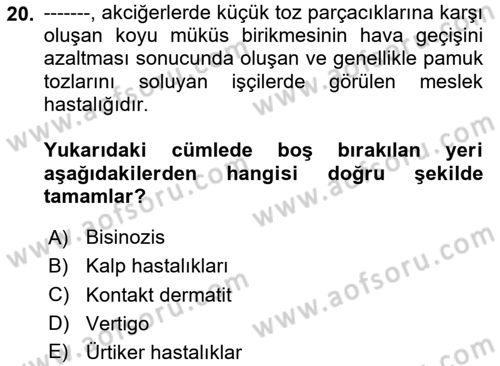 Sektörel İş Sağlığı ve Güvenliği Dersi 2023 - 2024 Yılı Yaz Okulu Sınav Soruları 20. Soru