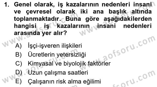Sektörel İş Sağlığı ve Güvenliği Dersi 2024 - 2025 Yılı (Vize) Ara Sınav Soruları 1. Soru