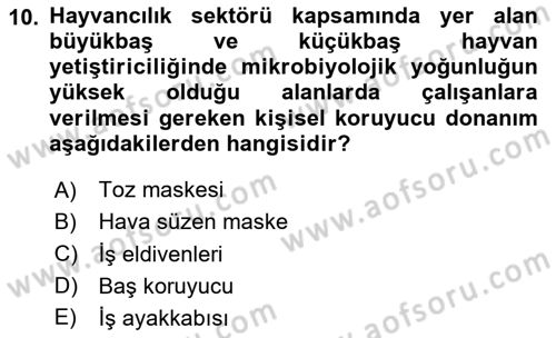 Sektörel İş Sağlığı ve Güvenliği Dersi 2024 - 2025 Yılı (Vize) Ara Sınav Soruları 10. Soru