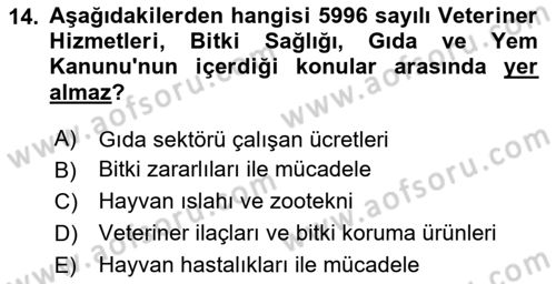 Sektörel İş Sağlığı ve Güvenliği Dersi 2024 - 2025 Yılı (Vize) Ara Sınav Soruları 14. Soru